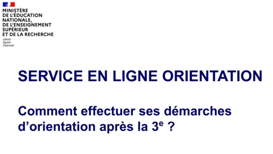 vignette service orientation.jpg