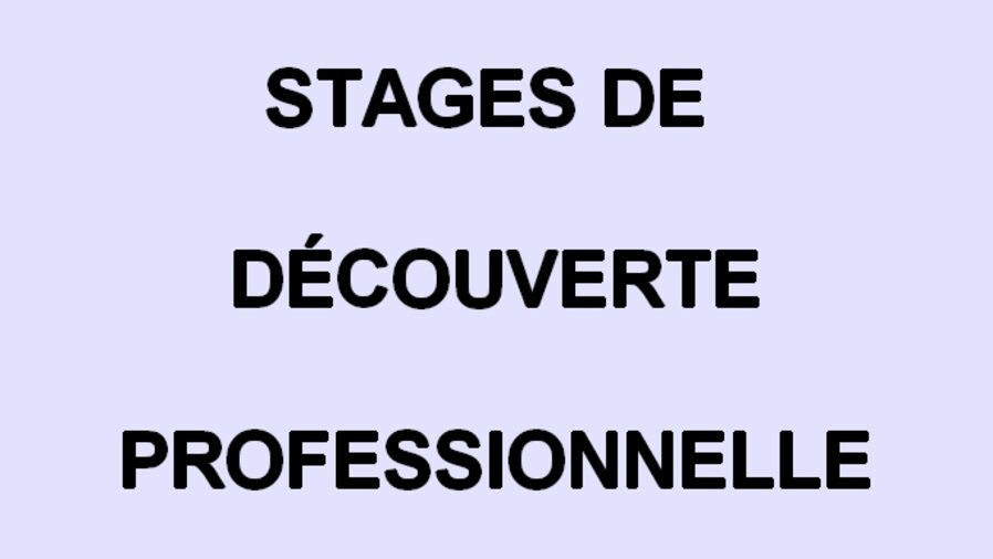stage DP.jpg